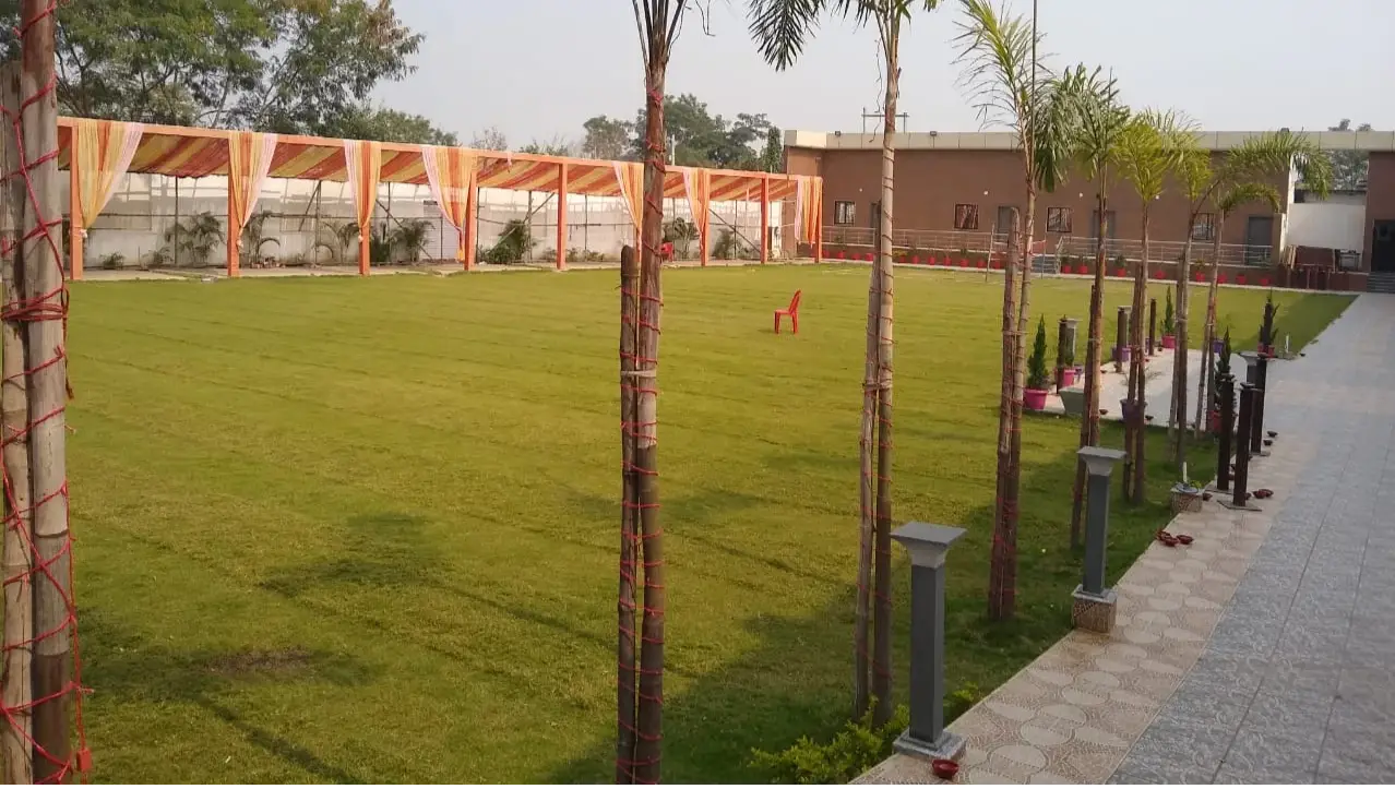 Lawn 